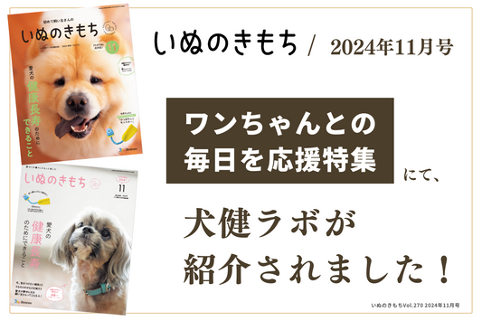 犬健ラボが『いぬのきもち』2024年11月号に掲載されました!
