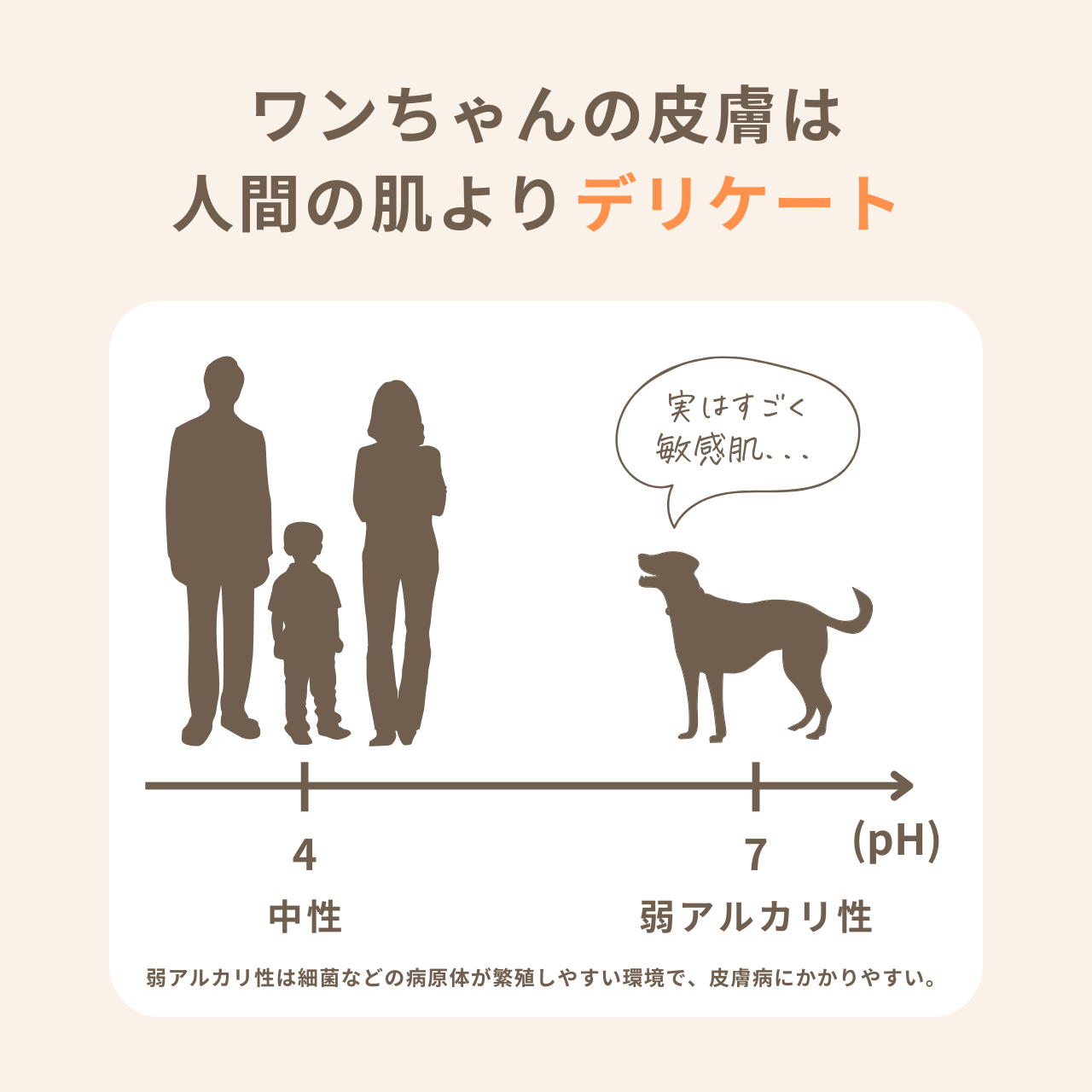 HAPPY FRAGRANCE SHAMPOO 犬用シャンプー <毛並補修・保護> 300ml