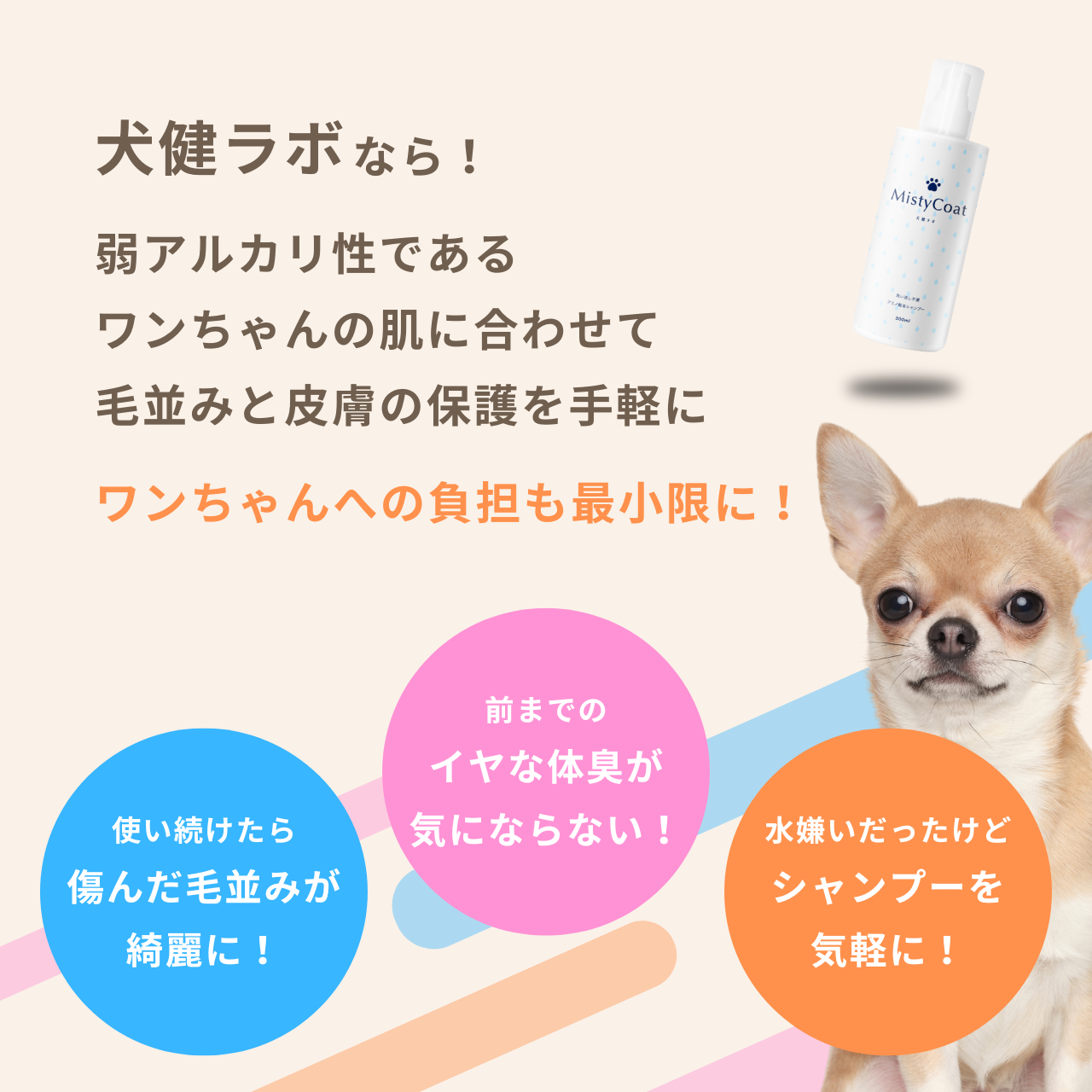 MistyCoat 犬用グルーミングスプレー <洗い流し不要> 300ml