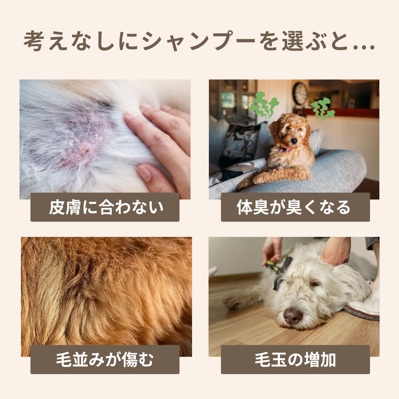 HAPPY FRAGRANCE SHAMPOO 犬用シャンプー <毛並補修・保護> 300ml