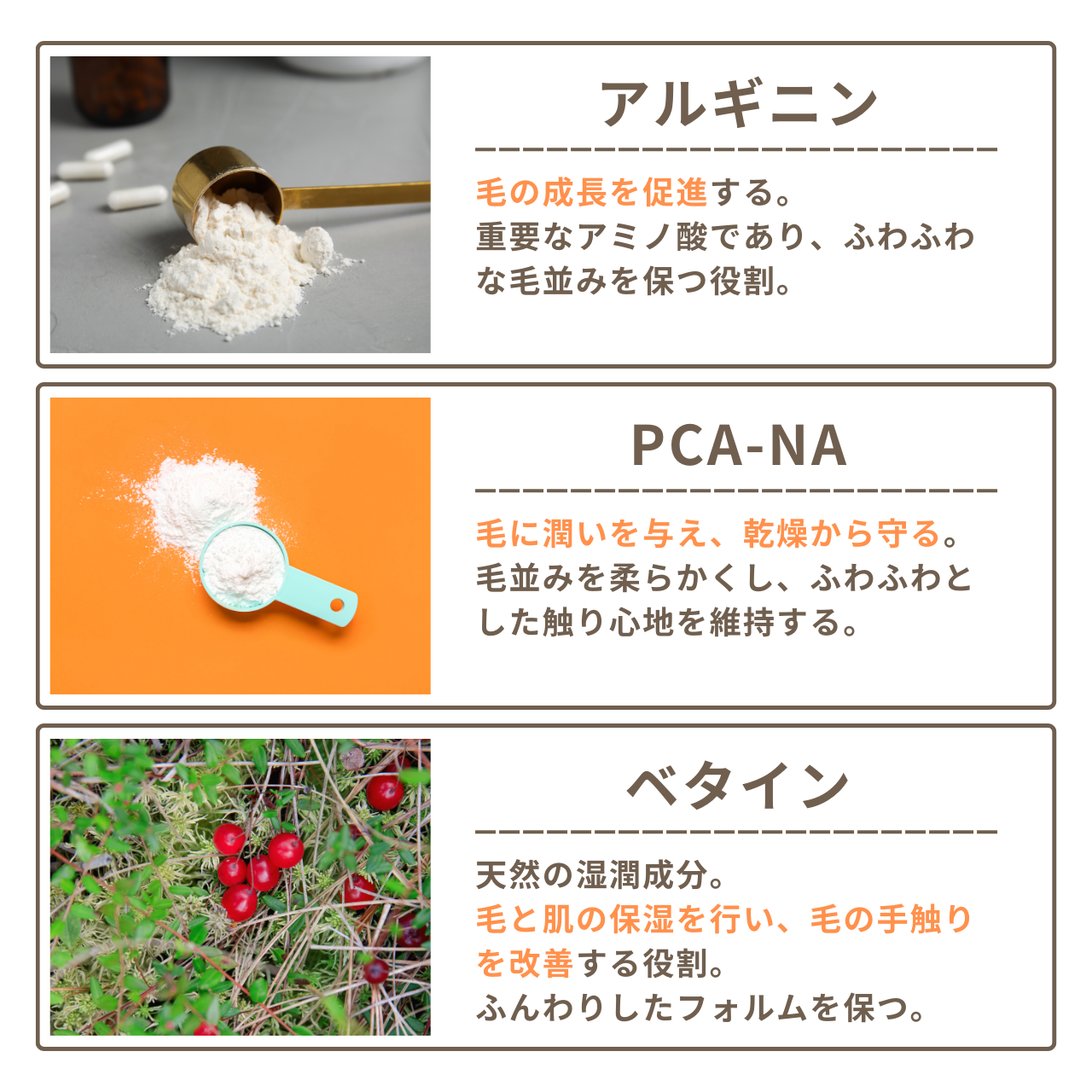 HAPPY FRAGRANCE SHAMPOO 犬用シャンプー <毛並補修・保護> 300ml