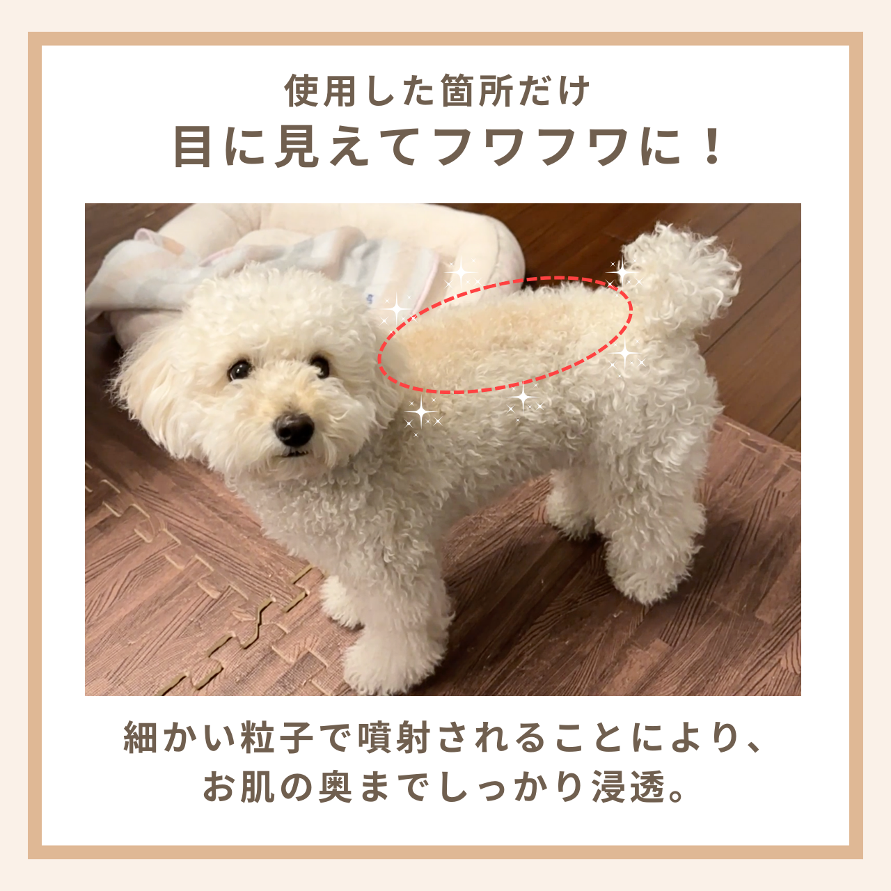 MistyCoat 犬用グルーミングスプレー <洗い流し不要> 300ml