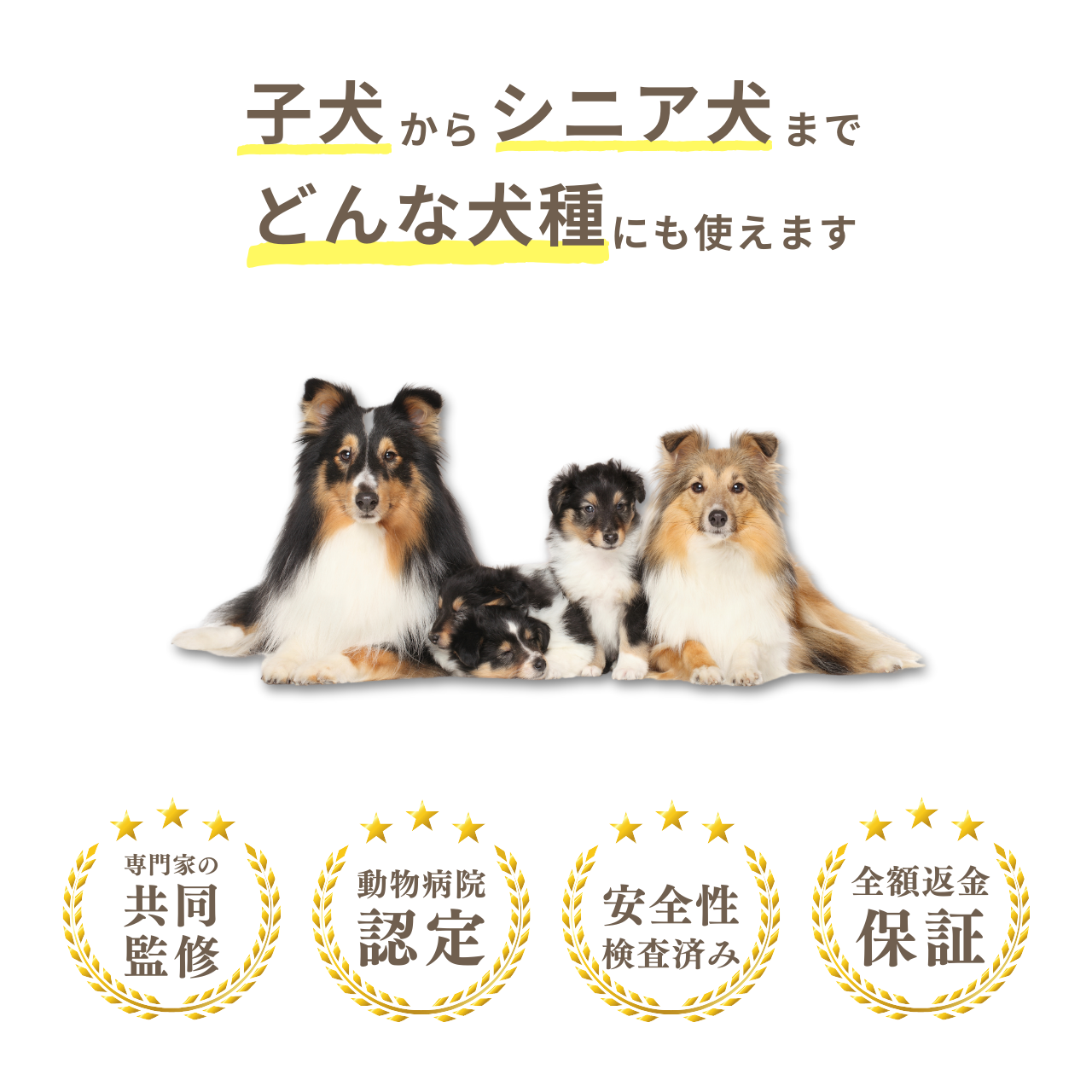HAPPY FRAGRANCE SHAMPOO 犬用シャンプー <毛並補修・保護> 300ml