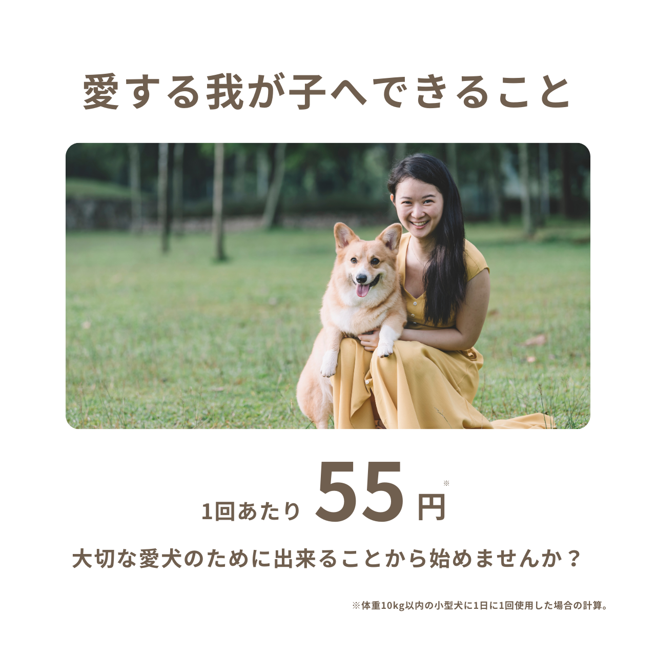 MistyCoat 犬用グルーミングスプレー <洗い流し不要> 300ml