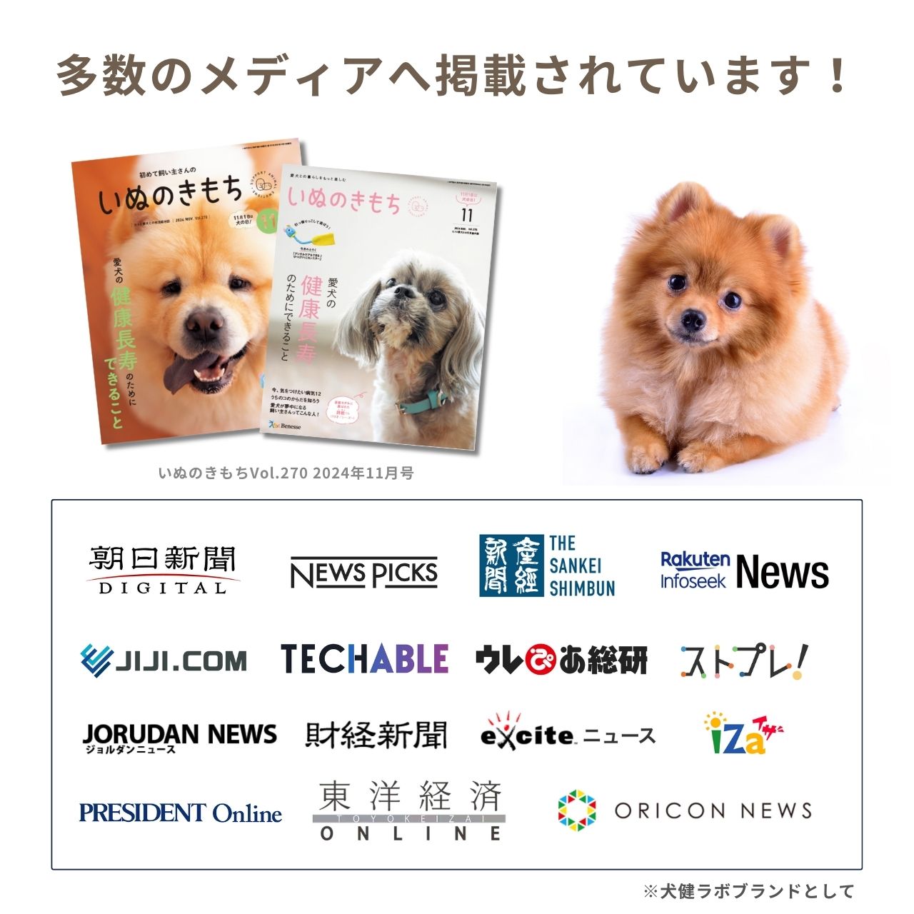 HAPPY FRAGRANCE SHAMPOO 犬用シャンプー <毛並補修・保護> 300ml