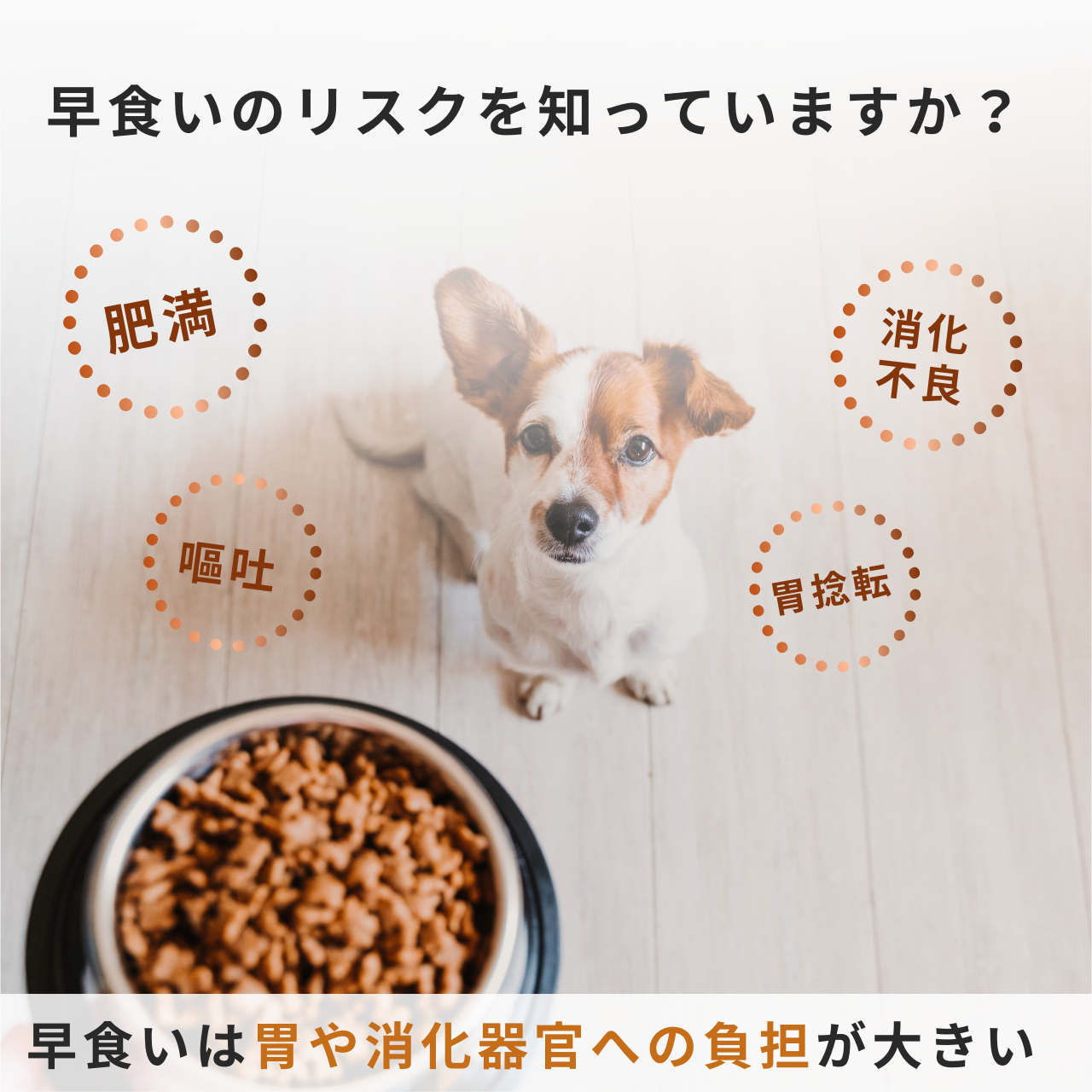 Dr.早食い防止 犬用フードボウル