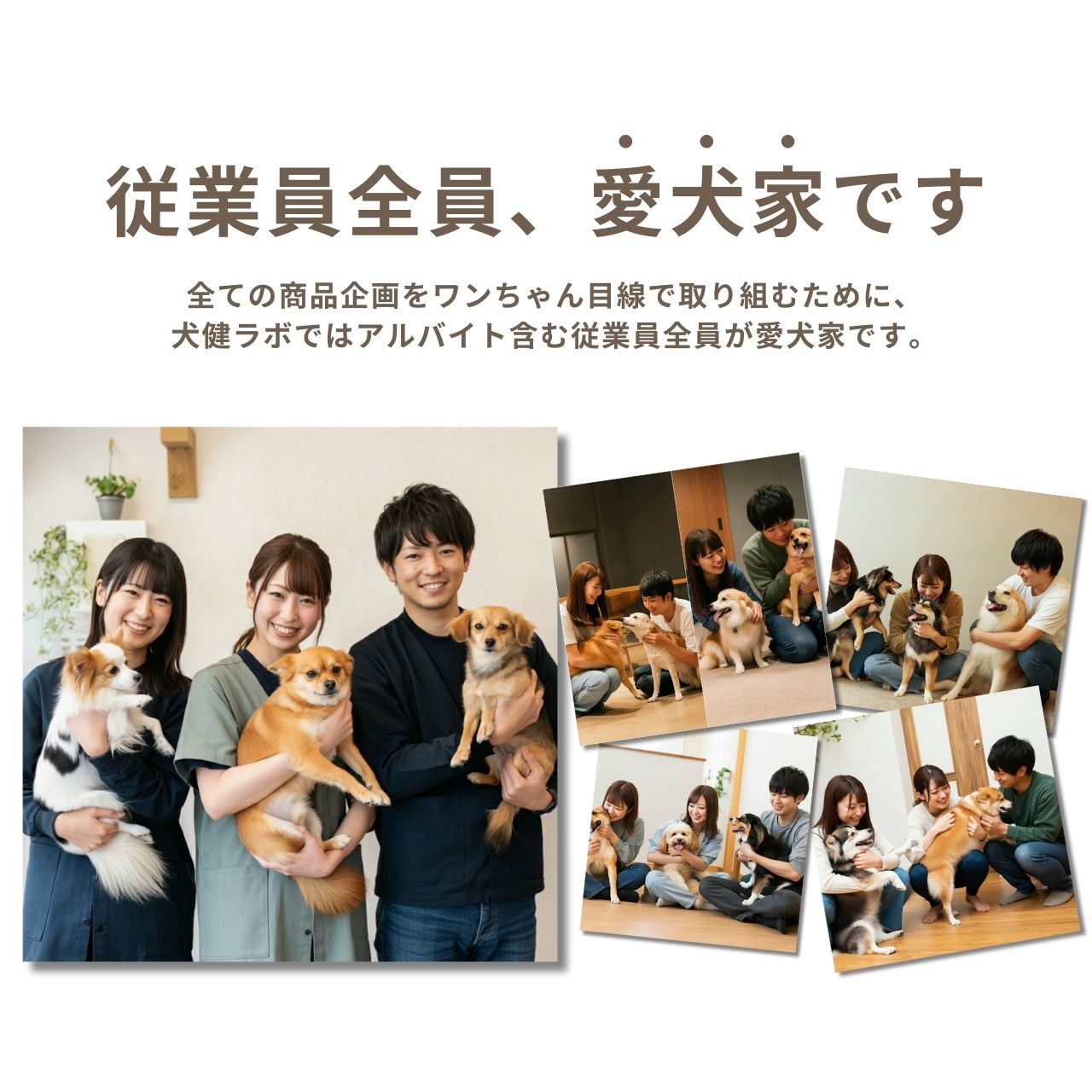 Dr.らくスパ 犬用爪切りセット