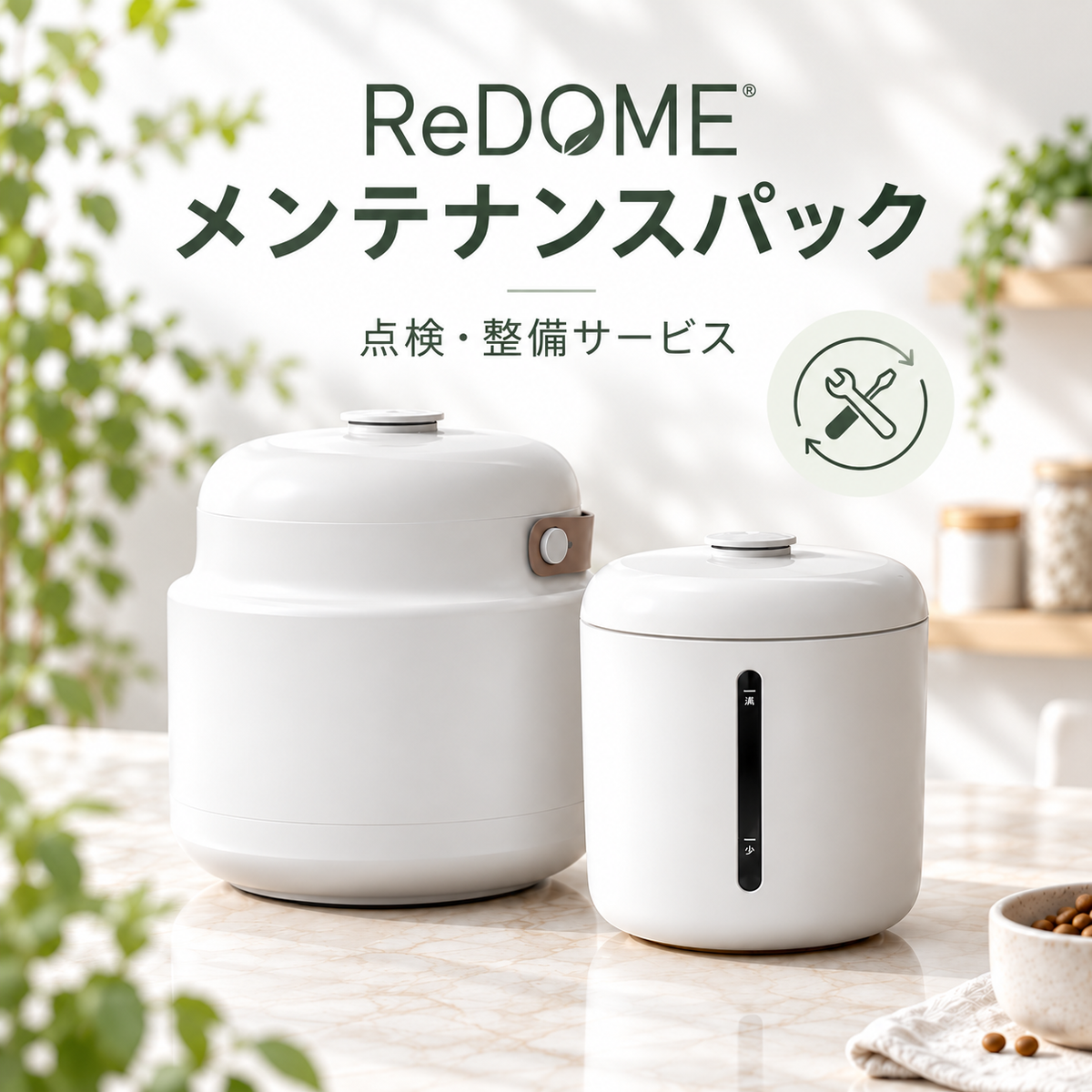 ReDOME メンテナンス作業