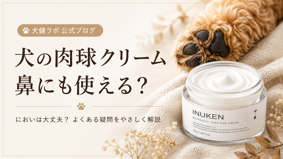 犬の肉球クリームは鼻にも使える？においは大丈夫？よくある疑問と魅力を徹底解説