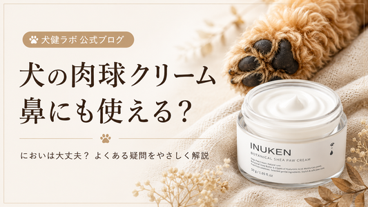 犬の肉球クリームは鼻にも使える？においは大丈夫？よくある疑問と魅力を徹底解説
