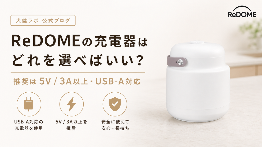 ReDOMEの充電アダプターはどれを選べばいい？ 推奨アダプターの目安を解説します