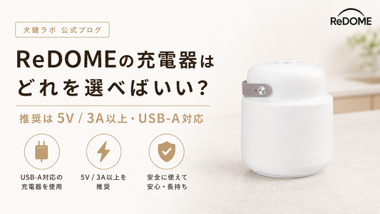 ReDOMEの充電アダプターはどれを選べばいい？ 推奨アダプターの目安を解説します