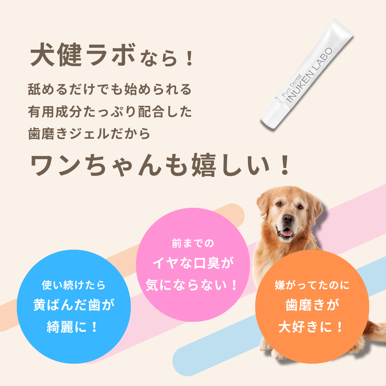 犬健ラボ PureDental 犬用歯磨きジェル <歯石・口臭予防> 50g 犬健ラボ PureDental 犬用歯磨きジェル <歯石・口臭予防> 50g
