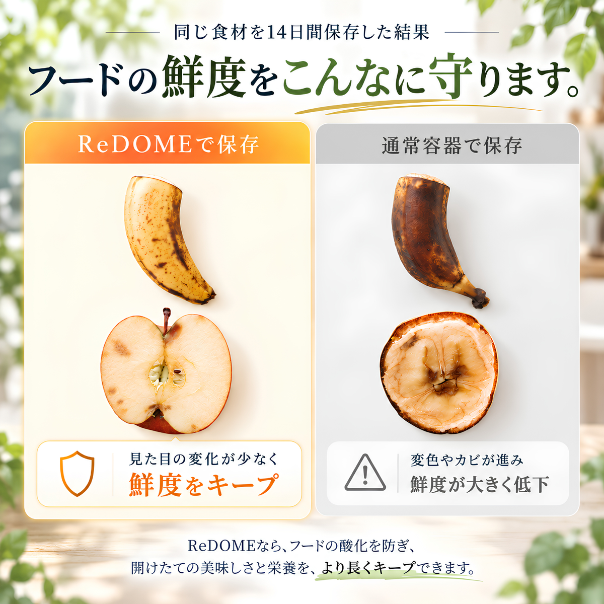 【10月末お届け予定】ReDOME Lite 全自動真空保存用機 7L