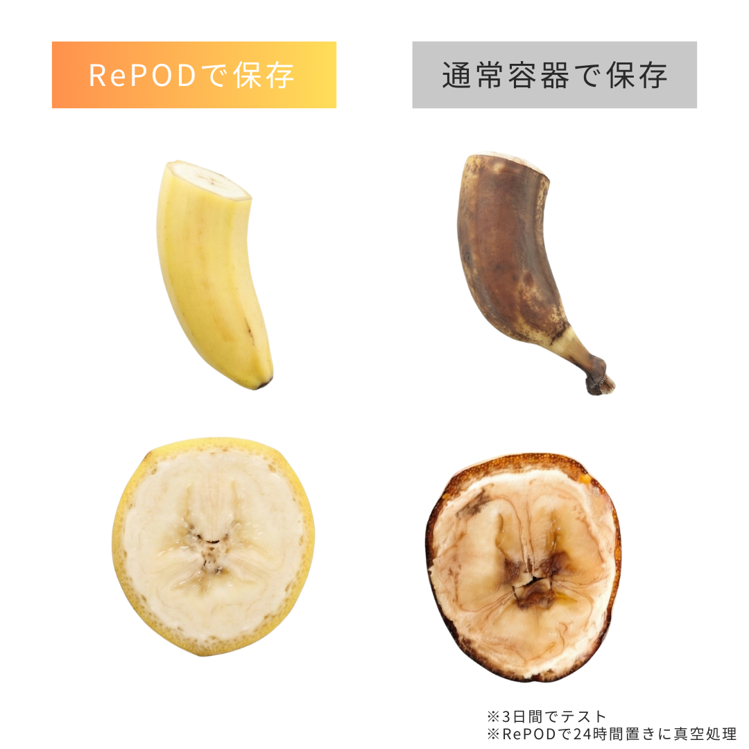 【3月上旬予約開始予定】RePOD 真空保存機 + 容器4点セット