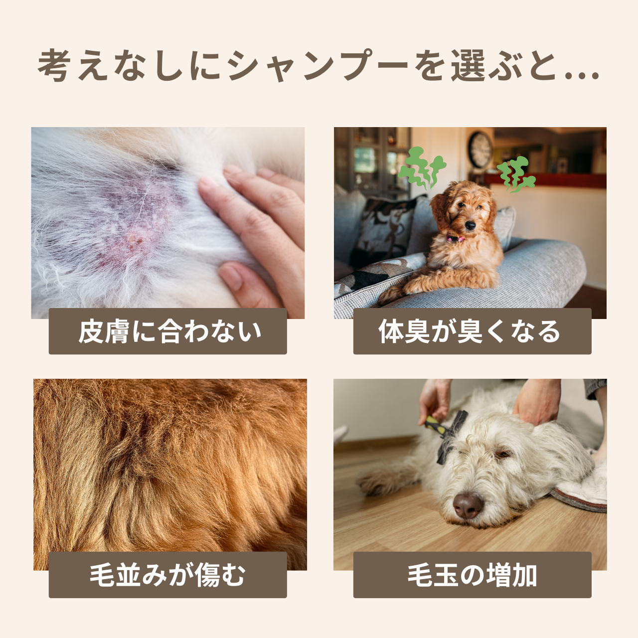 HAPPY FRAGRANCE SHAMPOO 犬用シャンプー ＜毛並補修・保護＞ 300ml