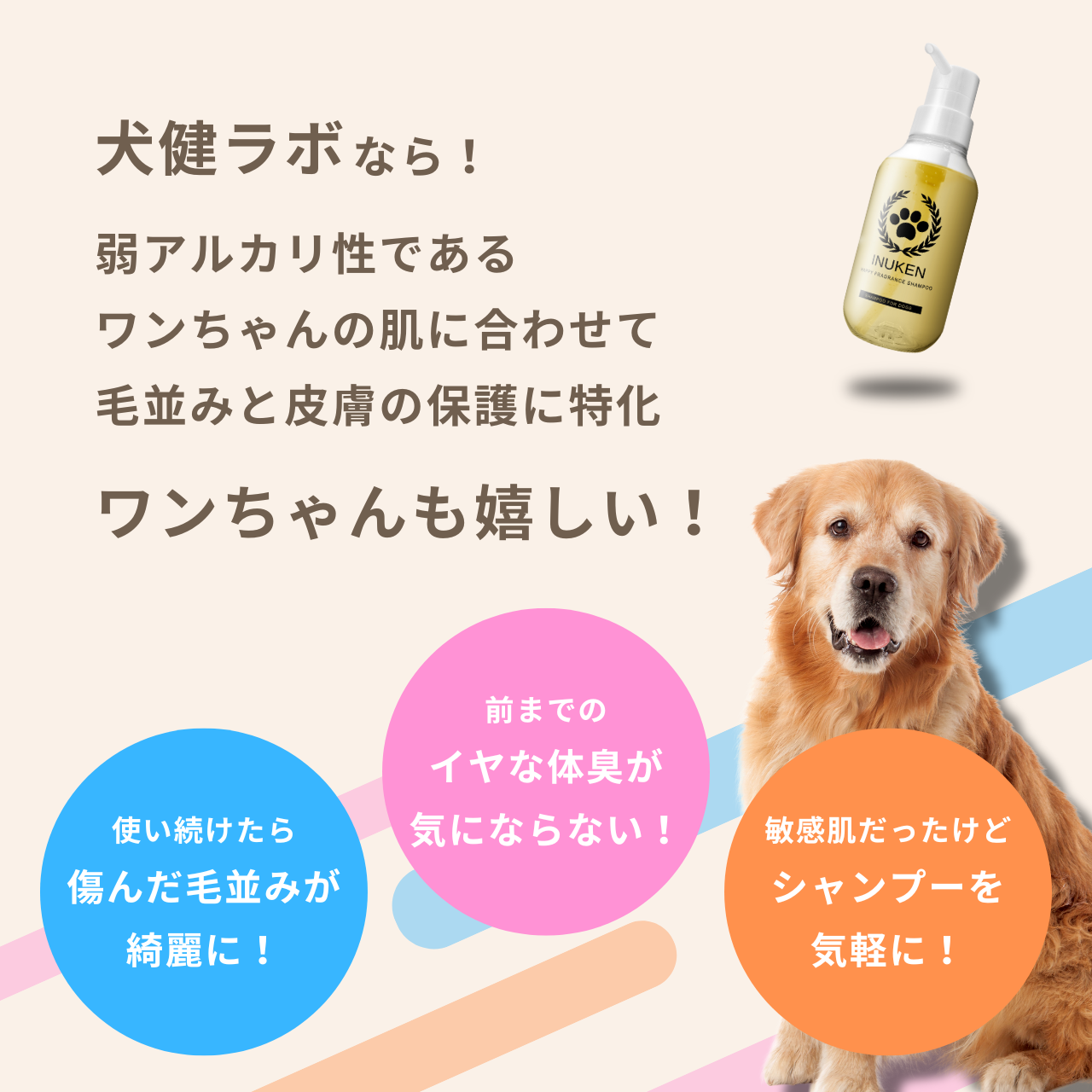 HAPPY FRAGRANCE SHAMPOO 犬用シャンプー ＜毛並補修・保護＞ 300ml