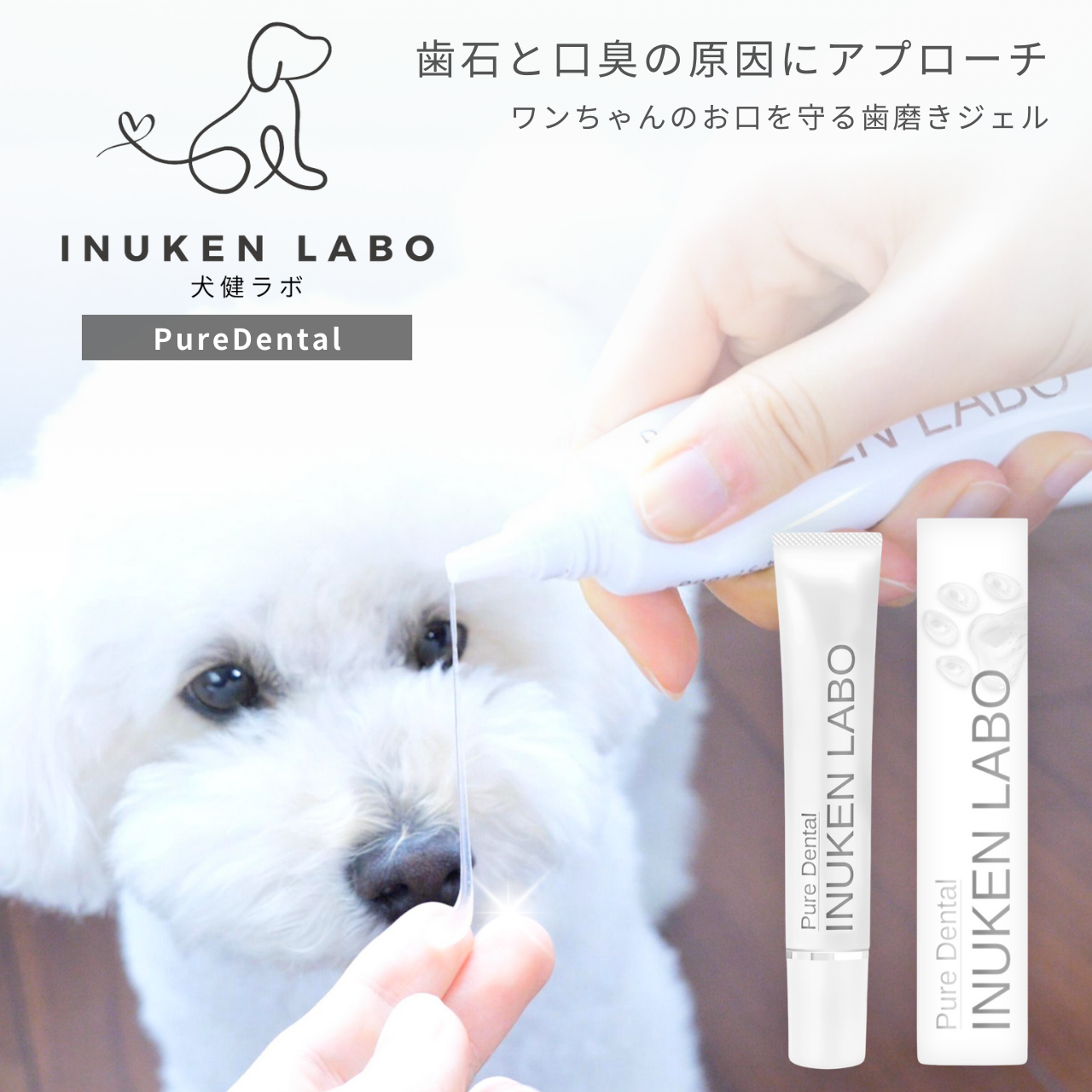 犬用口臭予防歯磨きジェル 新品2本と歯ブラシ 犬健ラボ PureDental 犬用歯磨きジェル <歯石・口臭予防> 50g