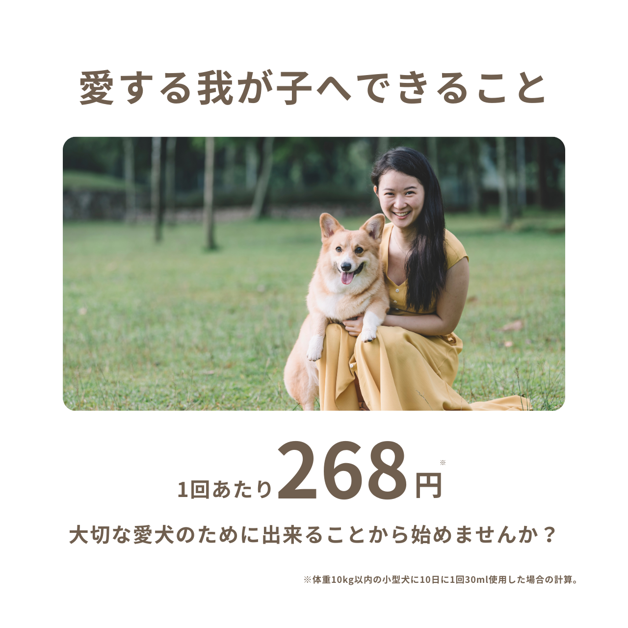 HAPPY FRAGRANCE SHAMPOO 犬用シャンプー ＜毛並補修・保護＞ 300ml