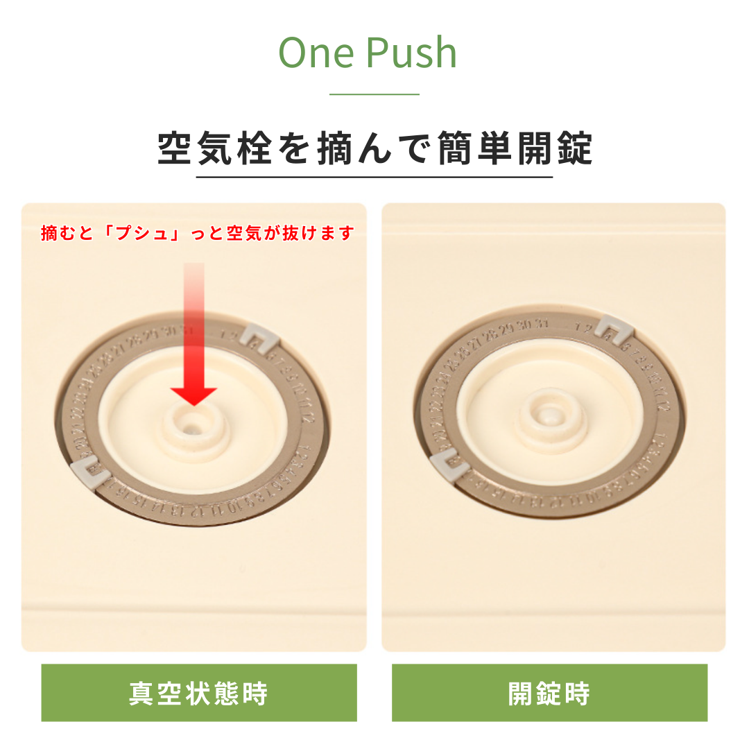 【3月上旬予約開始予定】RePOD 真空保存機 + 容器4点セット