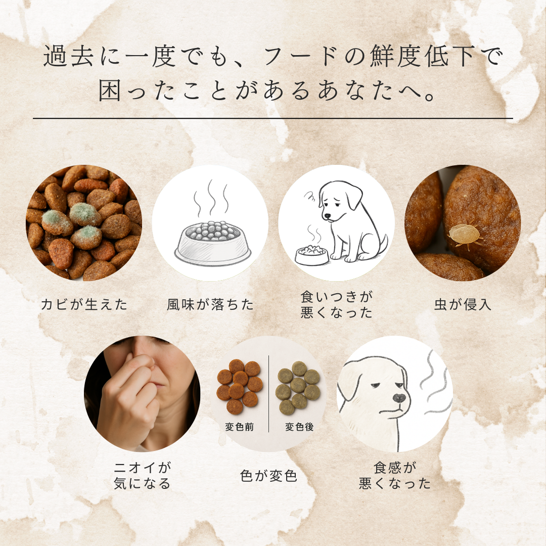 【3月上旬予約開始予定】RePOD 真空保存機 + 容器4点セット