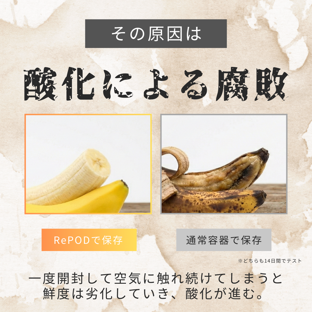 【3月上旬予約開始予定】RePOD 真空保存機 + 容器4点セット