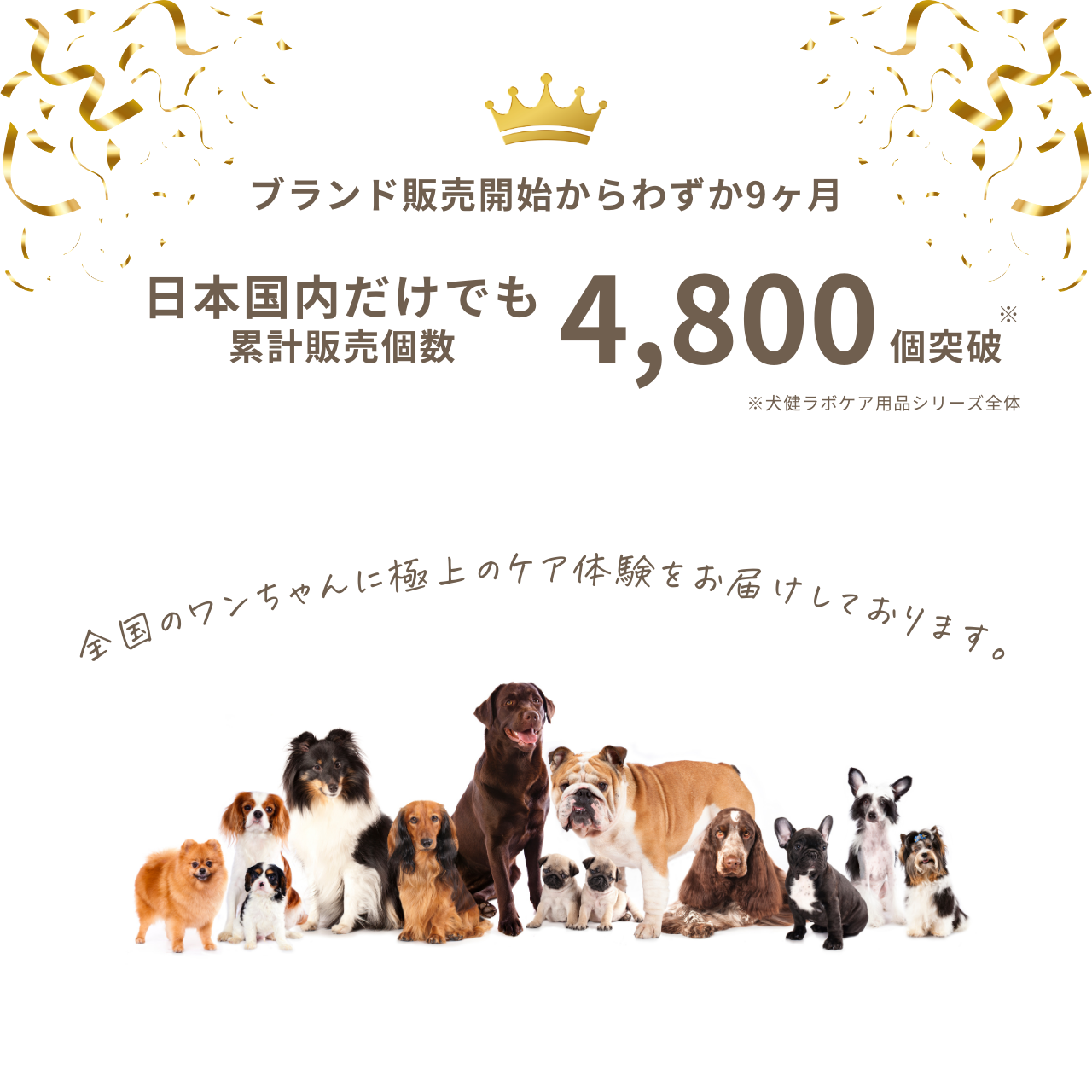 HAPPY FRAGRANCE SHAMPOO 犬用シャンプー ＜毛並補修・保護＞ 300ml